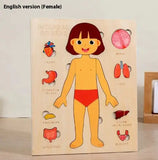 Child's Anatomy Interactive Learning playful Educational Toy Puzzle Game