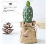 Mini Cactus Potted Plant - Artificial Desk Decoration, Desk Decor