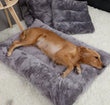 Plush Pet Bed