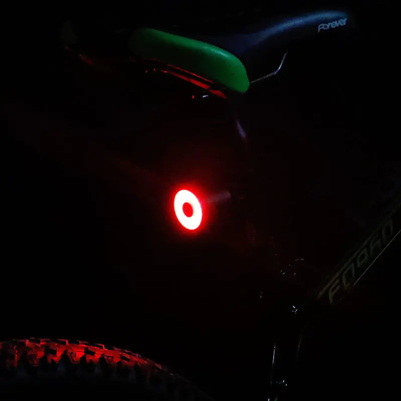 EcoFlash100 Waterproof USB Smart Bike Light Brake Sensor Night Ride