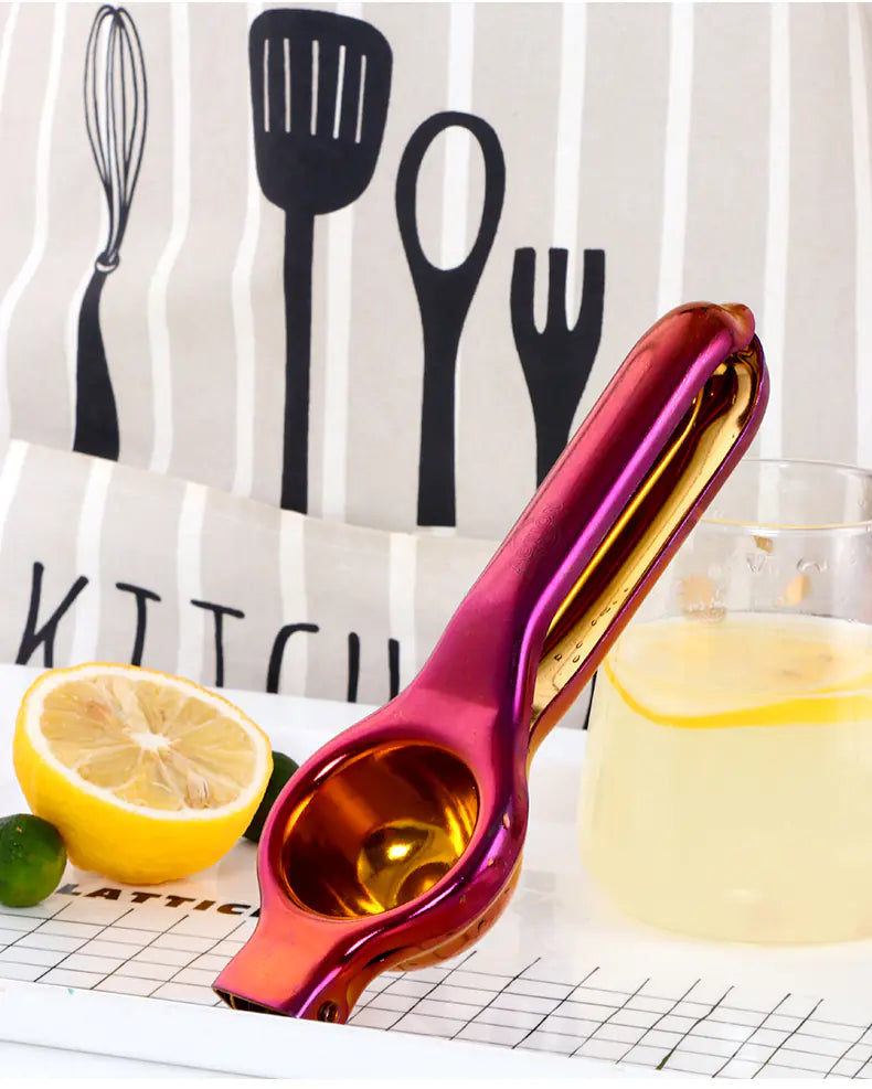 Essential Steel Citrus Juicer Non-Electric Handheld Juicer