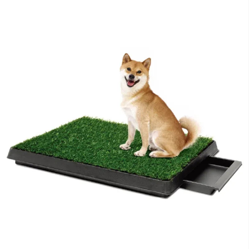 EcoClean Pet Potty Station hygienic durable non-foldable plastic pet-toilet