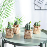 Mini Cactus Potted Plant - Artificial Desk Decoration, Desk Decor