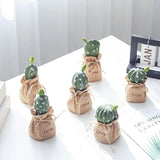 Mini Cactus Potted Plant - Artificial Desk Decoration, Desk Decor