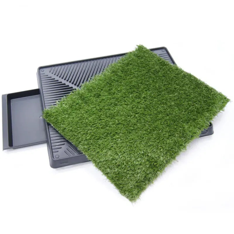 EcoClean Pet Potty Station hygienic durable non-foldable plastic pet-toilet