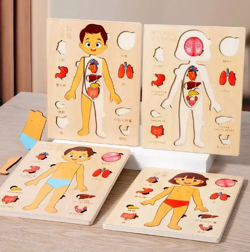 Child's Anatomy Interactive Learning playful Educational Toy Puzzle Game