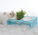 Tri-Tone Elevated Cat Feeder functional petcare