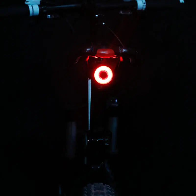 EcoFlash100 Waterproof USB Smart Bike Light Brake Sensor Night Ride