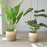 Nordic Woven Planters Set