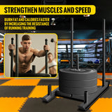 Weight Sled System Push Pull Drag Power Speed Athlete Strength Workout