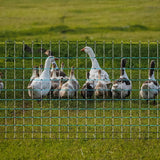 Portable Electric Netting Fence Kit Goats Fencing 35"H x 164'L with Posts Spikes